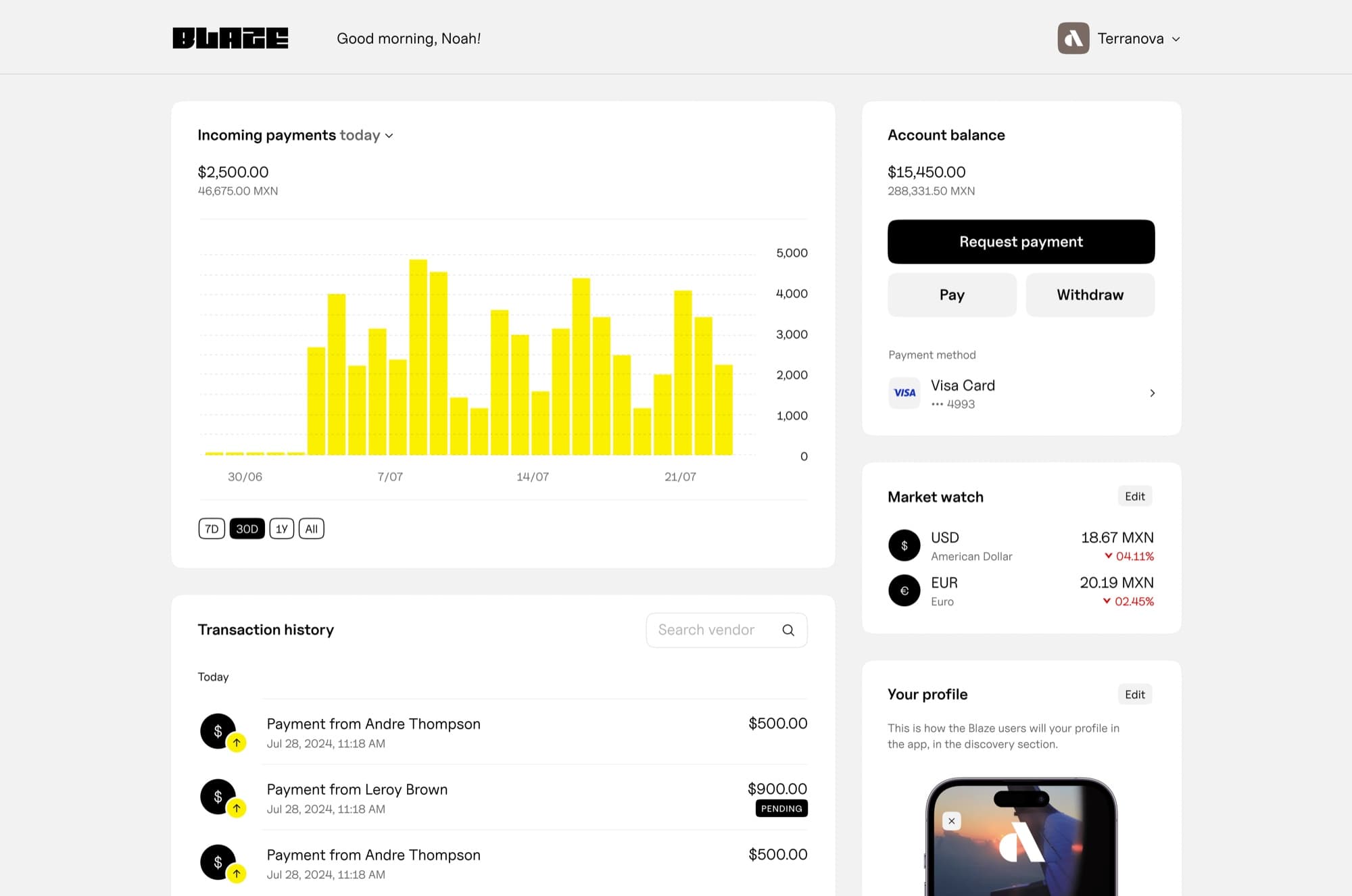 Blaze Business dashboard with incoming payments and balances